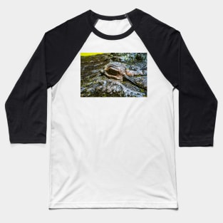 Alligator eye Baseball T-Shirt